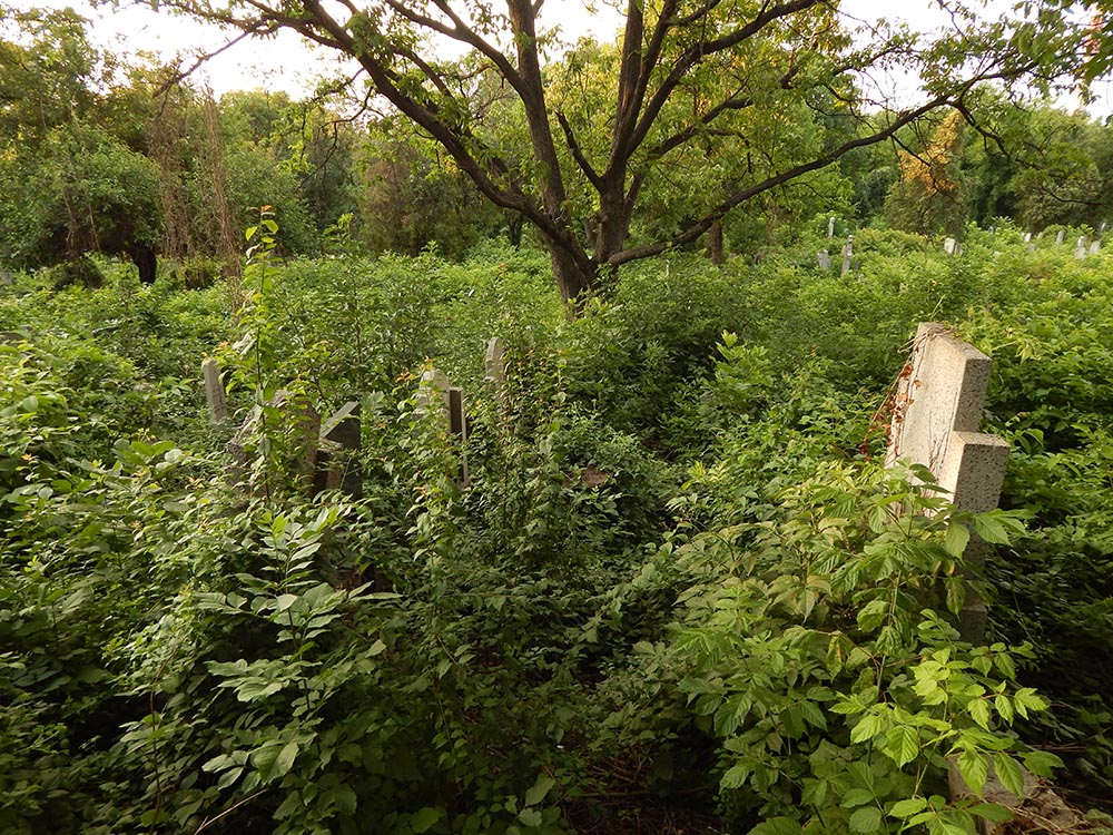 Старо гробље ГОРИЦА - 22.7.2021. - Фото Мирослав Величковић