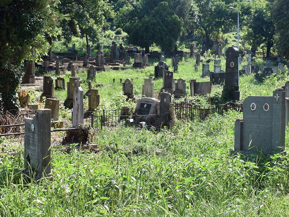 Старо гробље ГОРИЦА - 2021